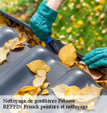 Nettoyage de gouttières