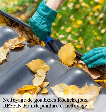 Nettoyage de gouttières