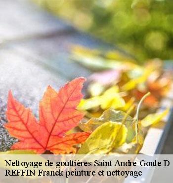 Nettoyage de gouttières