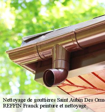 Nettoyage de gouttières
