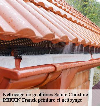 Nettoyage de gouttières