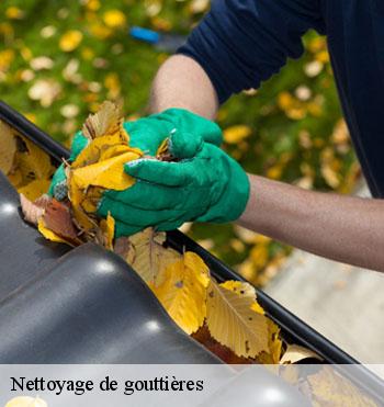 Nettoyage de gouttières