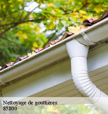 Nettoyage de gouttières