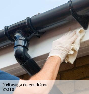 Nettoyage de gouttières