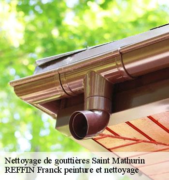 Nettoyage de gouttières