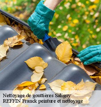 Nettoyage de gouttières