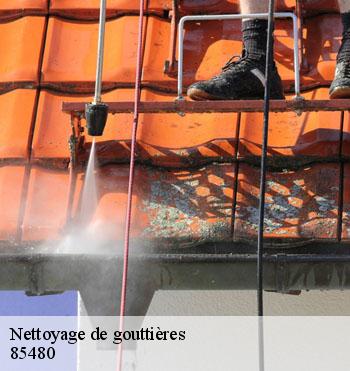 Nettoyage de gouttières