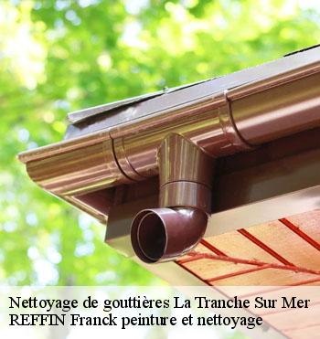 Nettoyage de gouttières