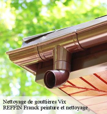 Nettoyage de gouttières