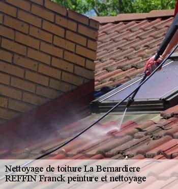 Nettoyage de toiture