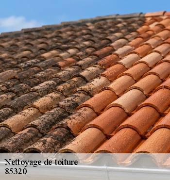 Nettoyage de toiture