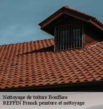 Nettoyage de toiture