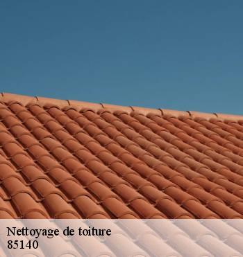Nettoyage de toiture