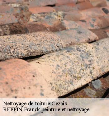 Nettoyage de toiture