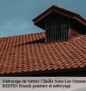 Nettoyage de toiture