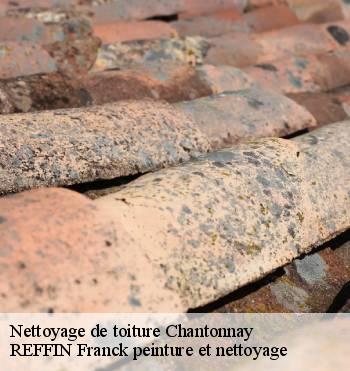 Nettoyage de toiture