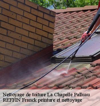 Nettoyage de toiture