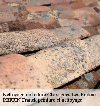 Nettoyage de toiture