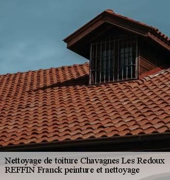 Nettoyage de toiture