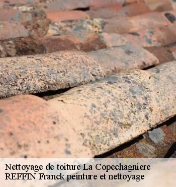 Nettoyage de toiture