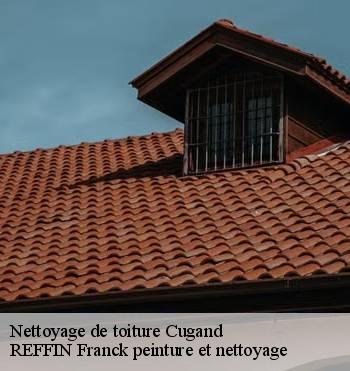 Nettoyage de toiture