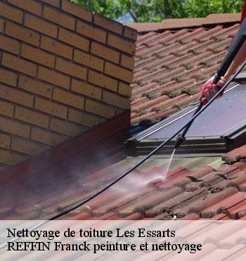 Nettoyage de toiture