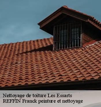 Nettoyage de toiture