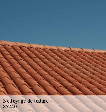 Nettoyage de toiture