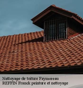 Nettoyage de toiture