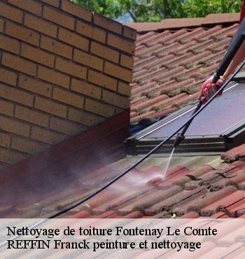 Nettoyage de toiture