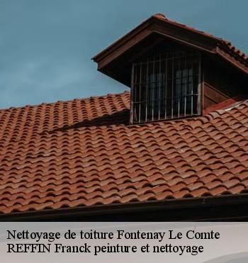 Nettoyage de toiture