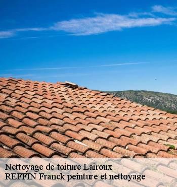 Nettoyage de toiture