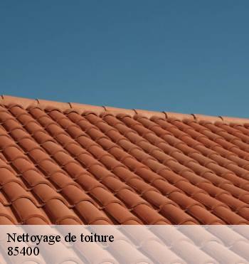 Nettoyage de toiture
