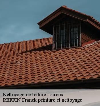 Nettoyage de toiture