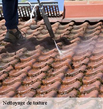 Nettoyage de toiture