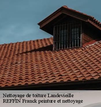 Nettoyage de toiture