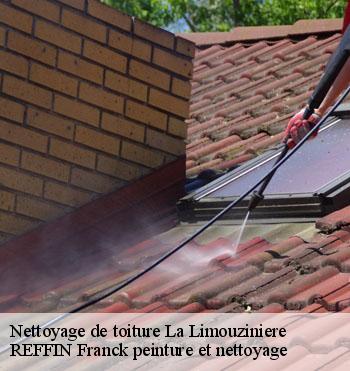Nettoyage de toiture
