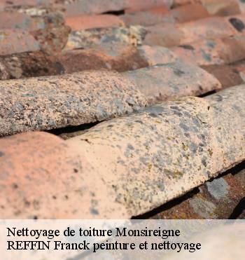 Nettoyage de toiture