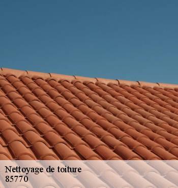 Nettoyage de toiture