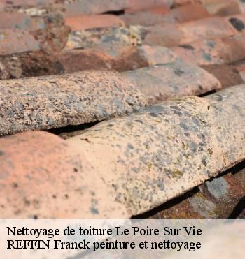 Nettoyage de toiture