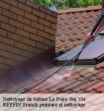 Nettoyage de toiture