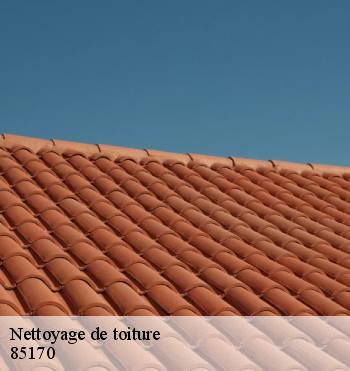 Nettoyage de toiture