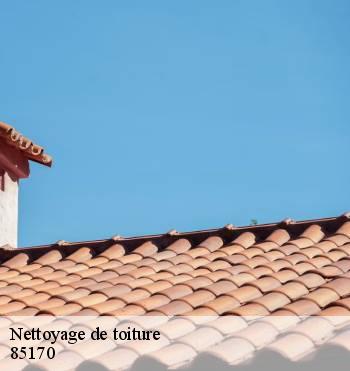 Nettoyage de toiture
