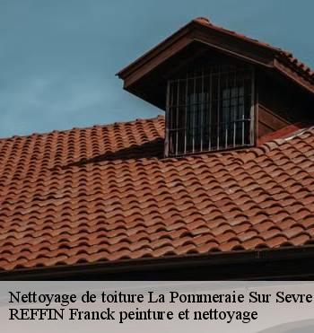 Nettoyage de toiture