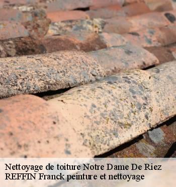 Nettoyage de toiture