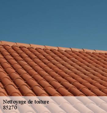 Nettoyage de toiture