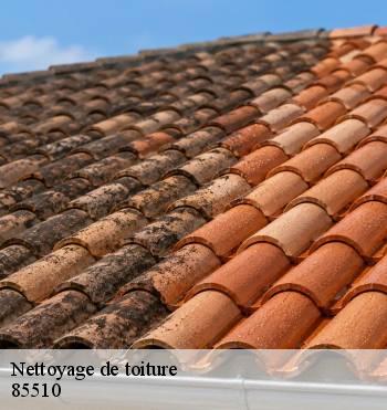 Nettoyage de toiture