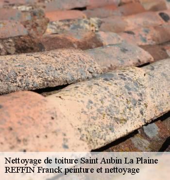 Nettoyage de toiture