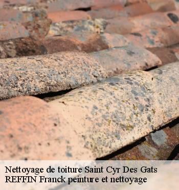 Nettoyage de toiture