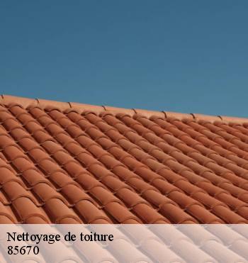 Nettoyage de toiture